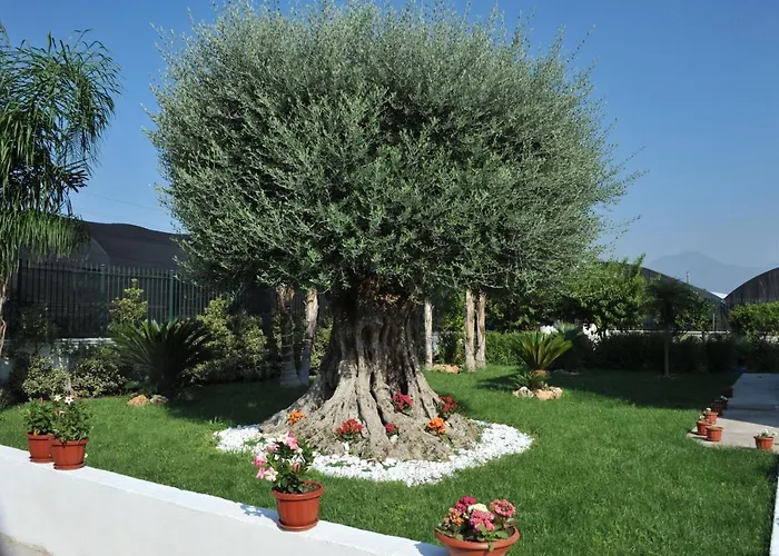 Cascina Fiorita B&B